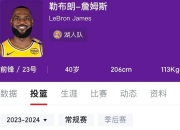 米兰体育官方网站-詹姆斯三节分，率领湖人复仇独行侠的简单介绍