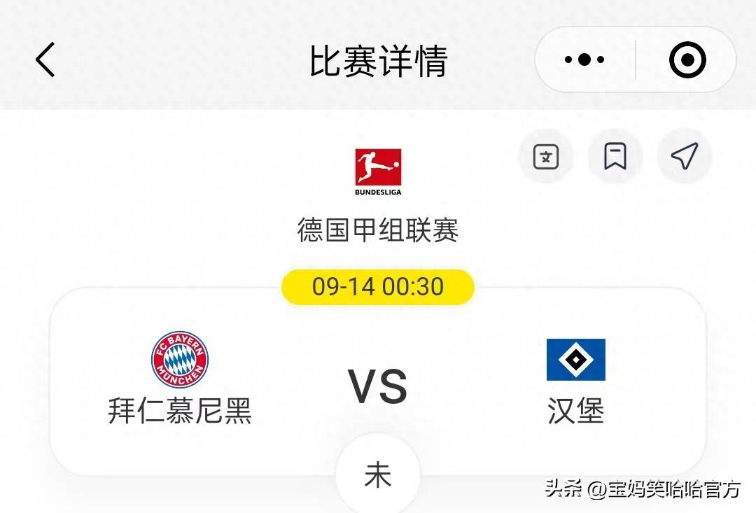 拜仁慕尼黑在德甲积分榜上领先